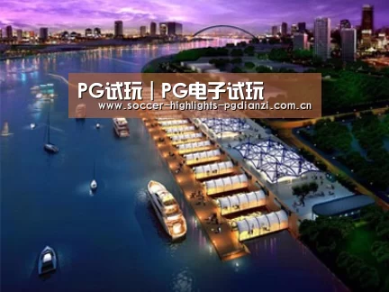 案例展示八