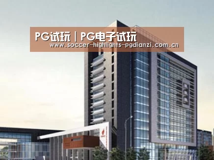 案例展示七