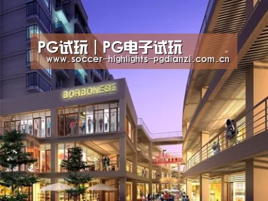 案例展示一