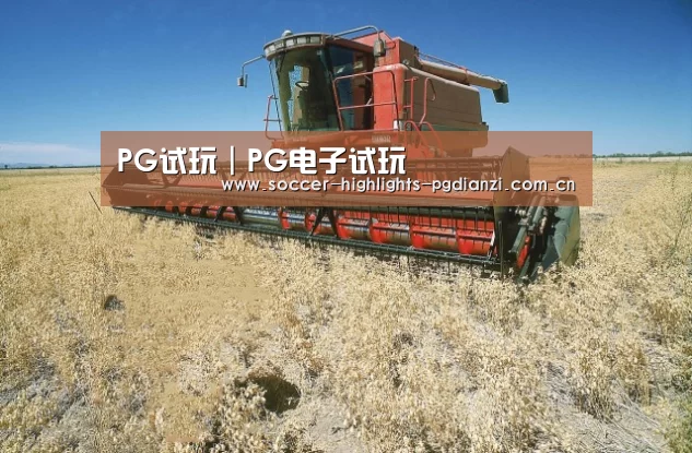 产品名称三