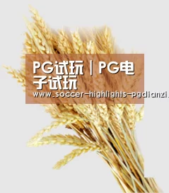 PG试玩｜PG电子试玩