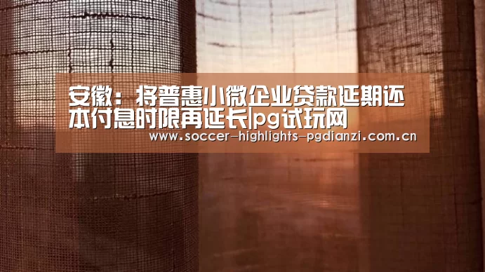 安徽:将普惠小微企业贷款延期还本付息时限再延长|pg试玩网(图1) pg试玩网