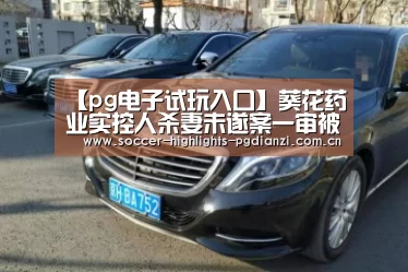 【pg电子试玩入口】葵花药业实控人杀妻未遂案一审被判11年 曾为付离婚费套现1.98亿|葵花药业(图4) pg电子试玩入口