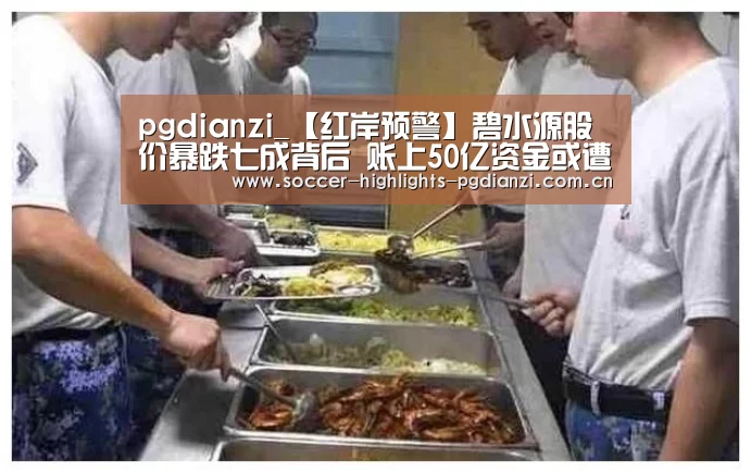 pgdianzi_【红岸预警】碧水源股价暴跌七成背后 账上50亿资金或遭占用(图2) pg电子试玩入口