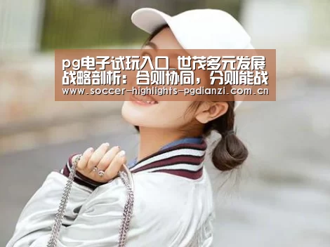 pg电子试玩入口_世茂多元发展战略剖析:合则协同,分则能战(图3) pg电子试玩入口