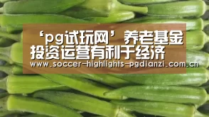 ‘pg试玩网’养老基金投资运营有利于经济发展(图3) pg试玩网