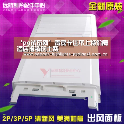 pg电子试玩入口